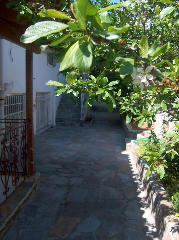 Athenian Spiti Villa Artemida  Oda fotoğraf